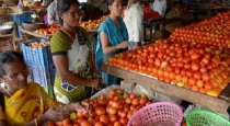 Tomato prices skyrocket: Housewives in shock