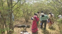 A teenager was burnt to death near a bypass road; Shocking incident in Villupuram...