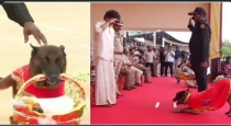 Cm-vijay-salutes-sniffer-dog-rocky-police-medal-ceremon